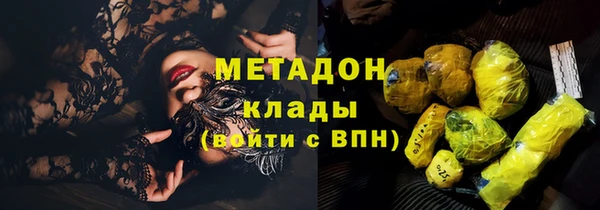 стаф Аркадак