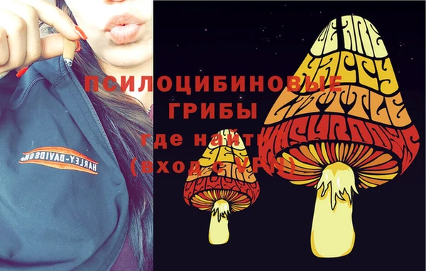 прущая мука Армянск
