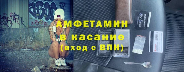 стаф Аркадак
