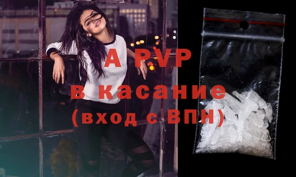 стаф Аркадак