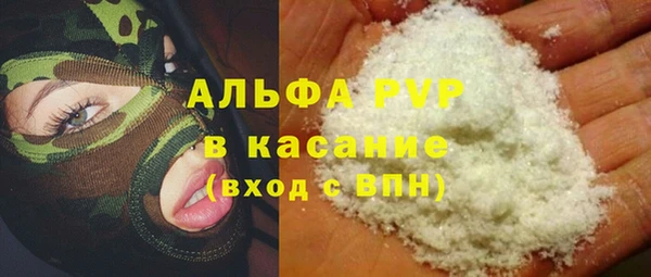 прущие грибы Богданович