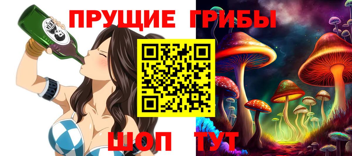 купить  сайты  Псилоцибиновые грибы Psilocybine cubensis  Вход с VPN  Чистополь 